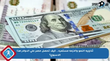 ثنائية النمو والأزمة مستمرة.. كيف تحصل مصر على الدولار هذا الأسبوع؟